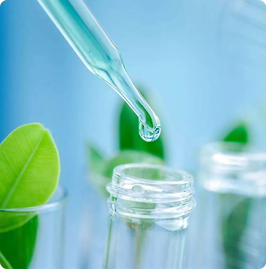 Мудрость и сила природы