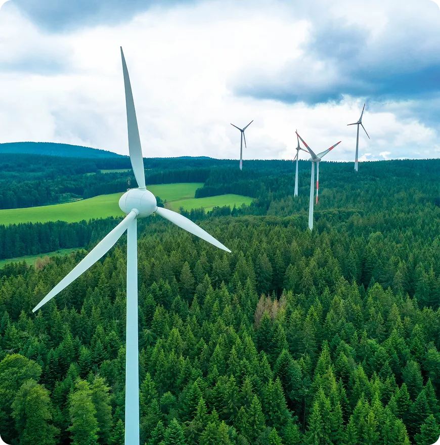 Уважительное отношение к природе