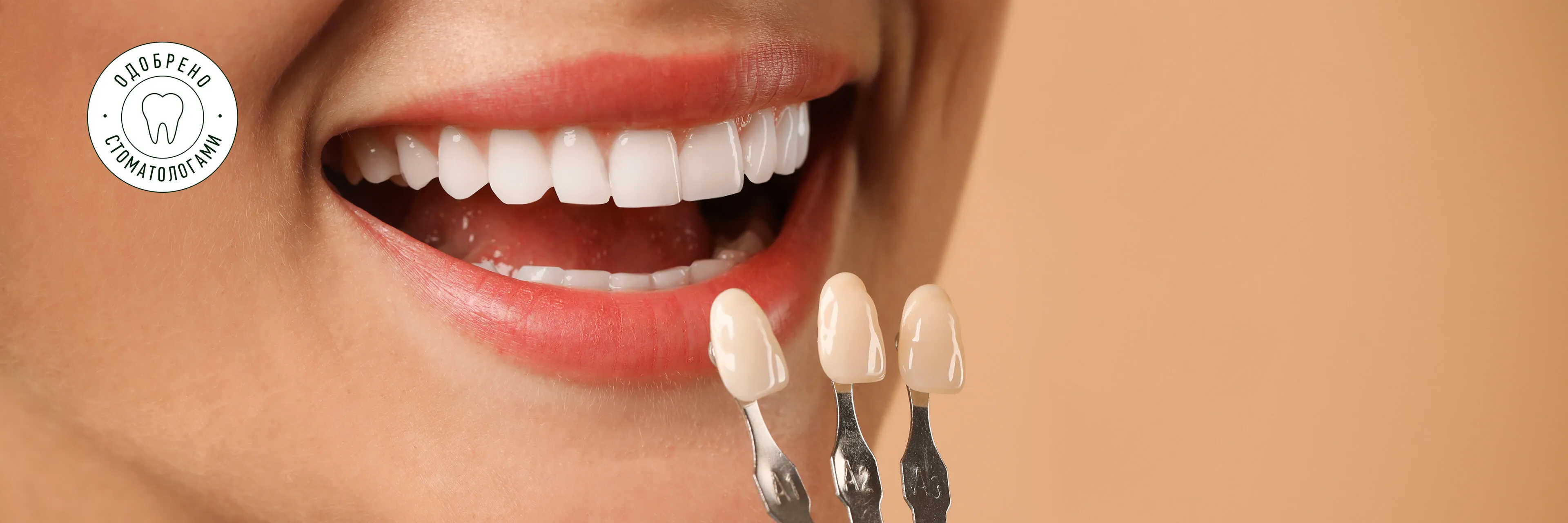 chto-takoe-viniry-kak-oni-vyglyadyat-i-stavyatsya-banner-webp