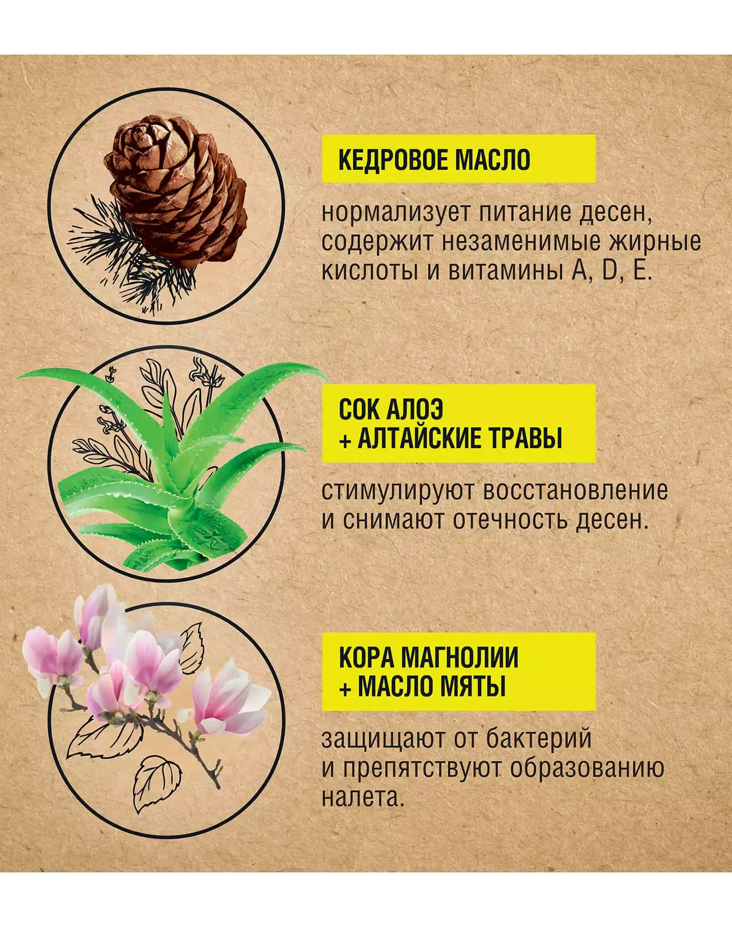 Фото1: Двухфазный ополаскиватель Ультрапитание десен с алоэ